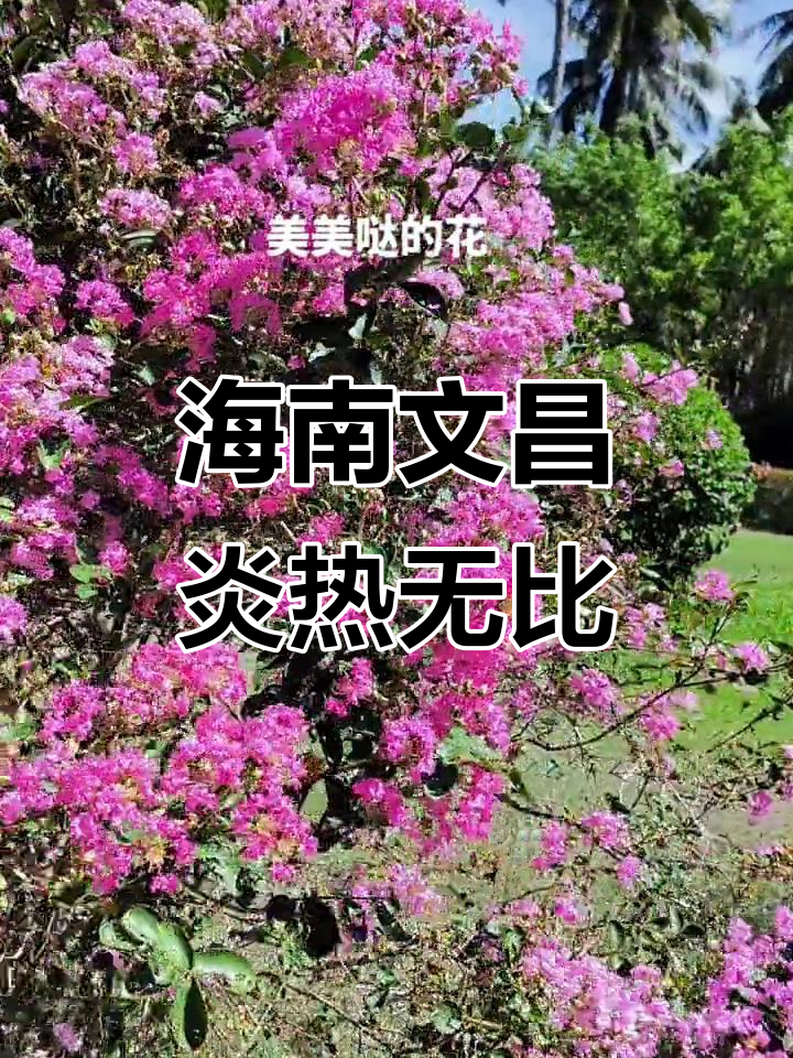 文昌市文昌市天气在线