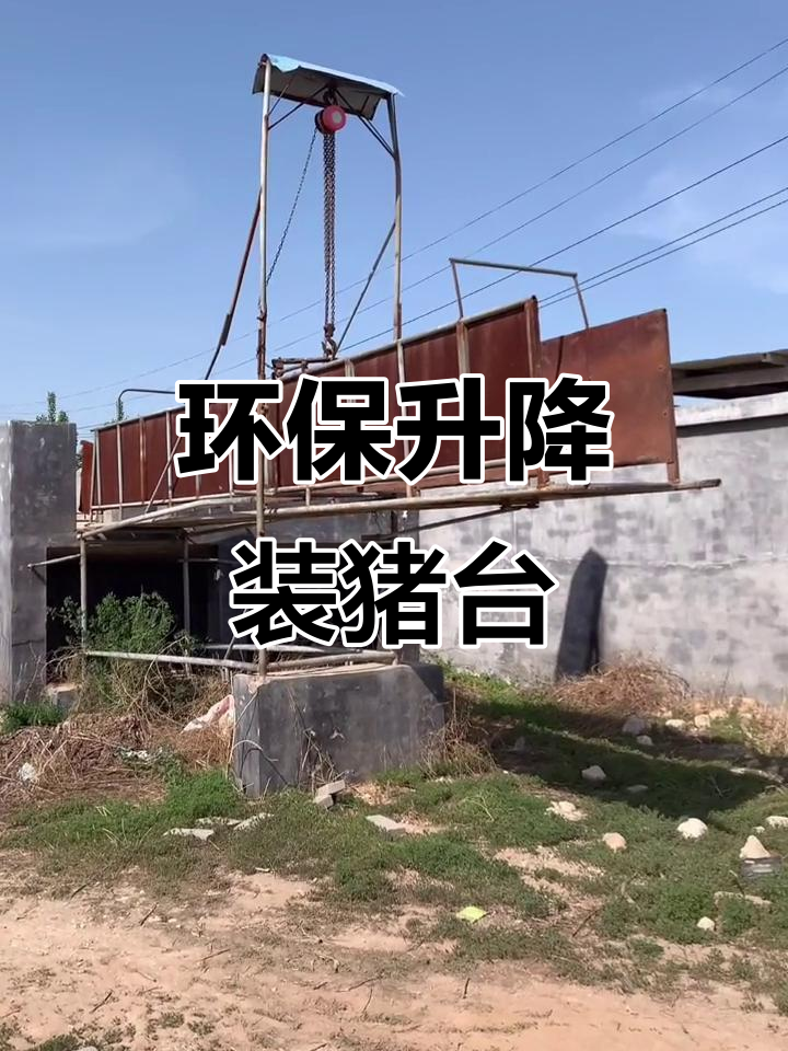 升降装猪台,地磅连接中转车,减少污染更高效