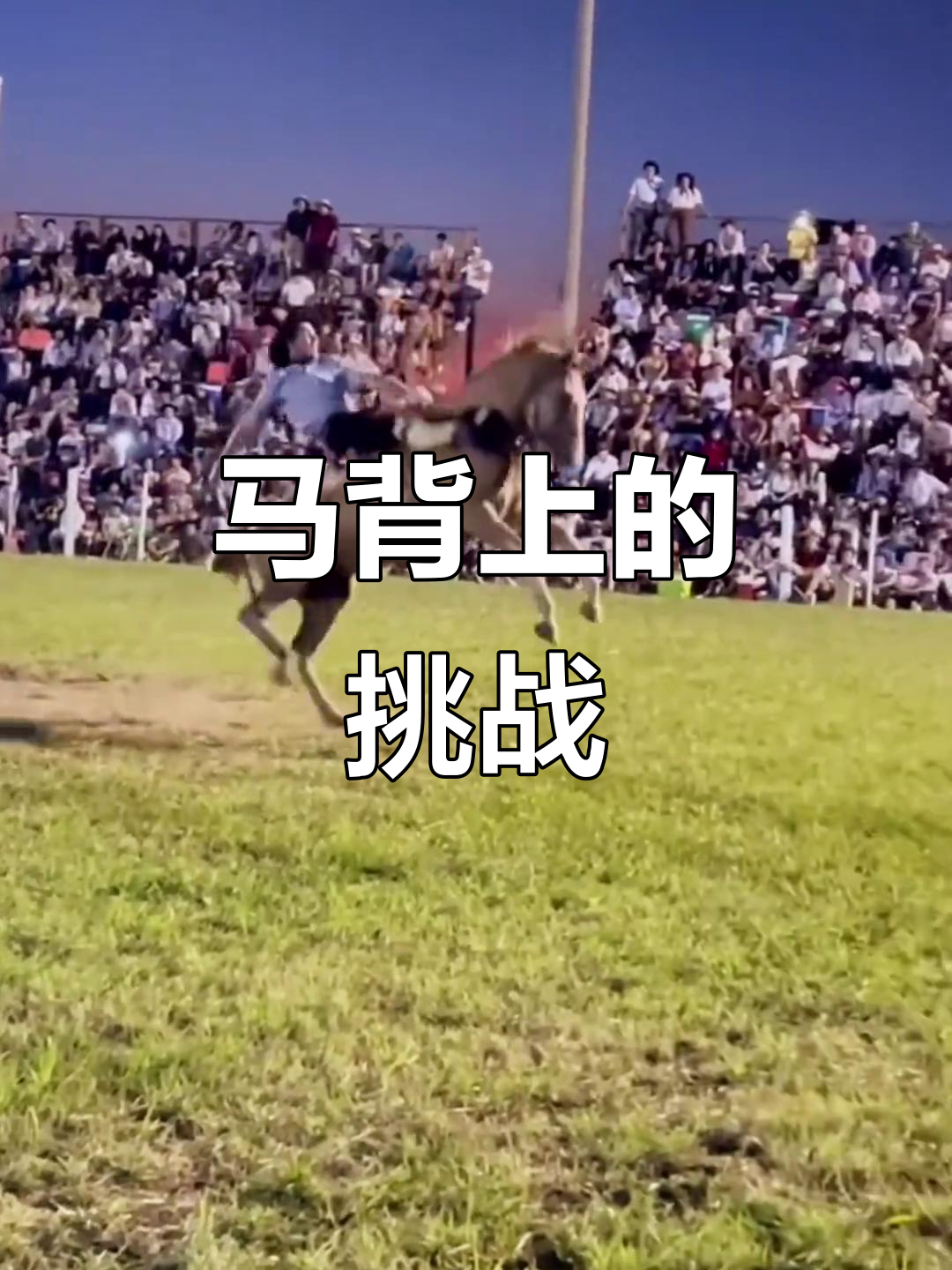 骑马看似简单,实则危险!别轻易模仿这些动作