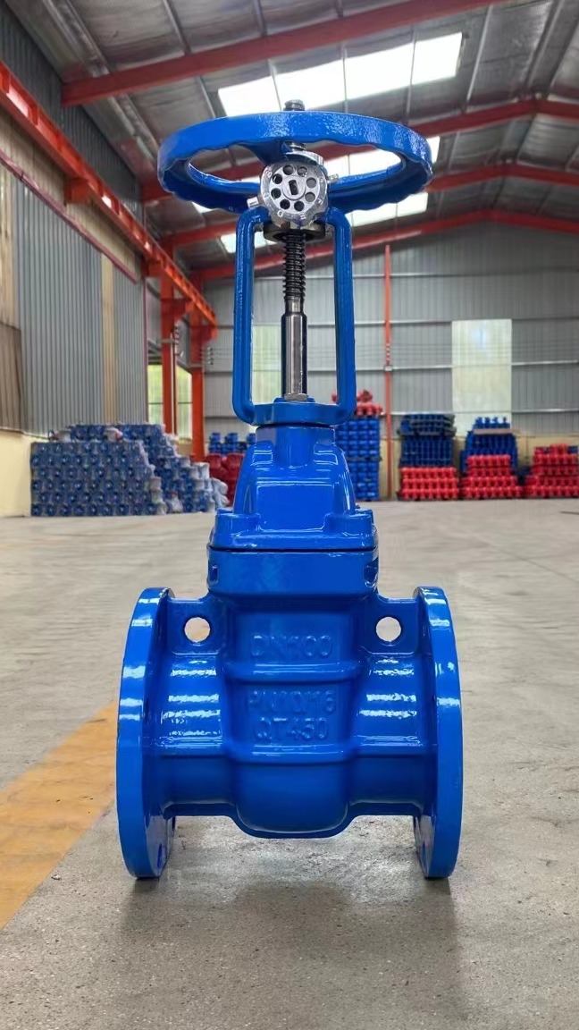 明杆防护铜芯闸阀出厂打压中