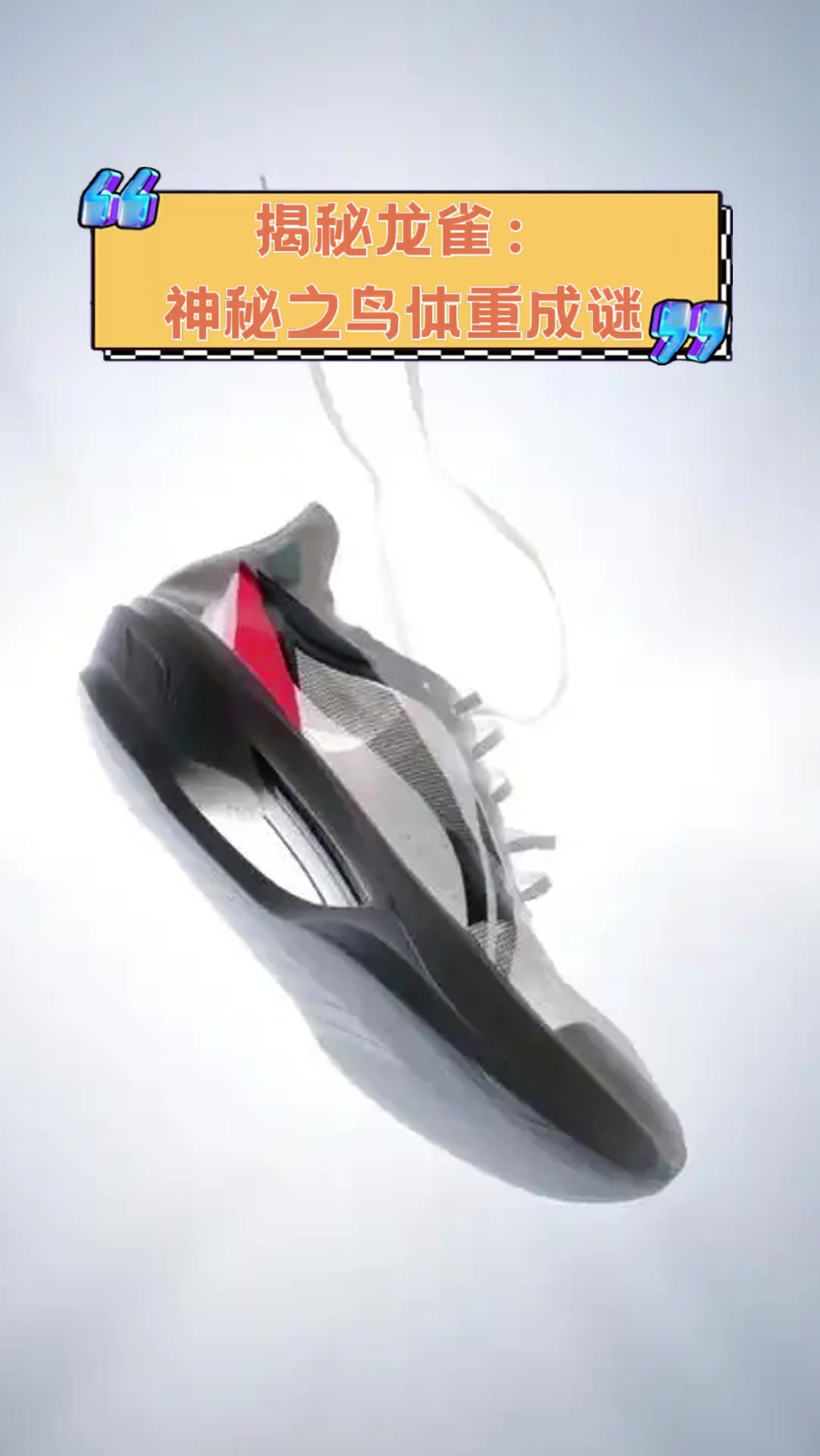 揭秘龙雀神秘之鸟体重成谜