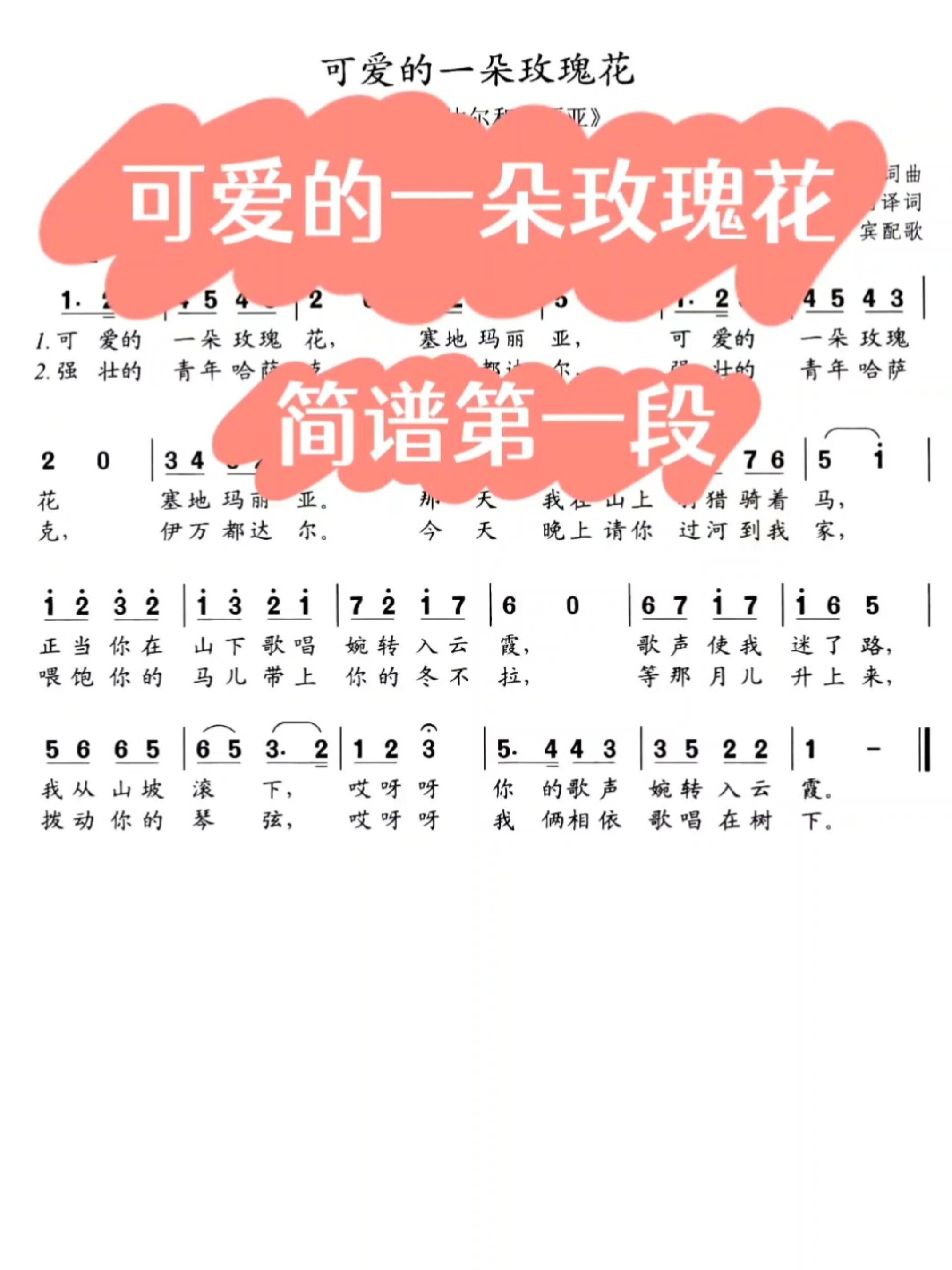 可爱的一朵玫瑰花