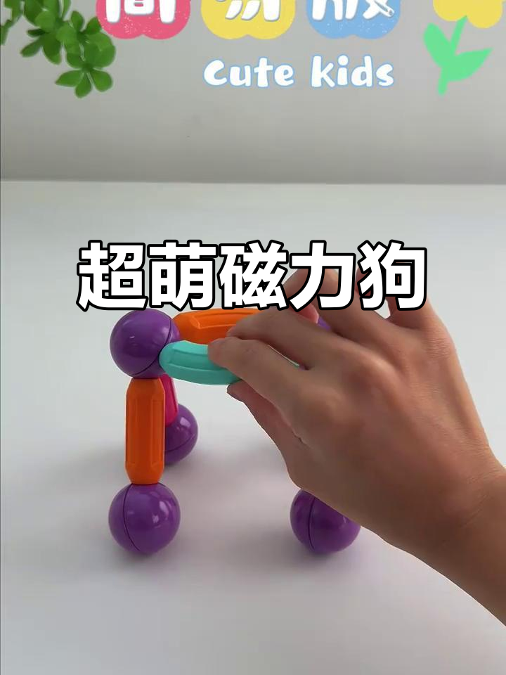 磁力狗终极
_磁力狗是什么（磁力狗是什么东西）