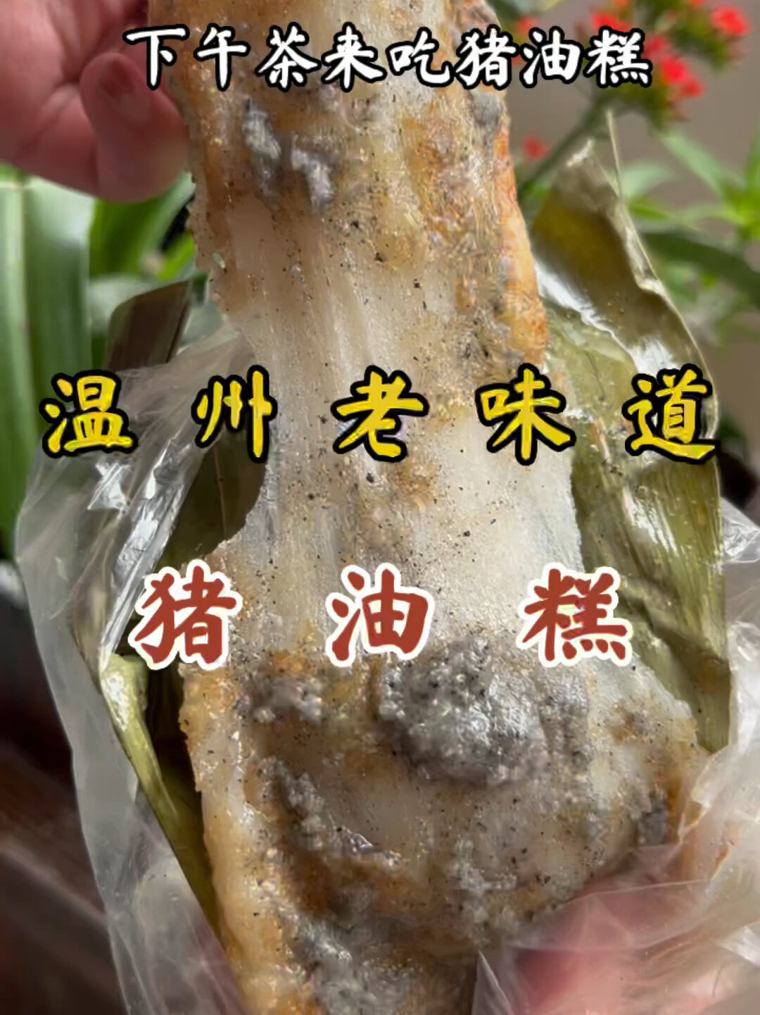温州老味道|5元一块的猪油糕!糯唧唧甜滋滋