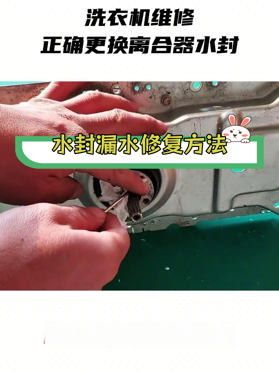 波轮洗衣机更换水封图片