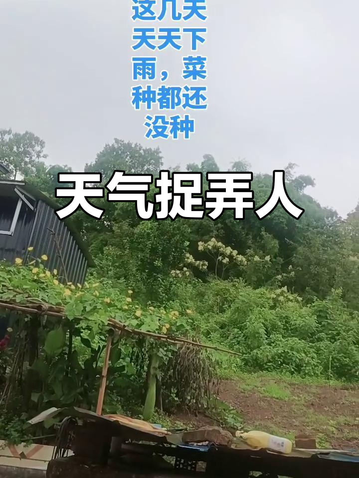 南召云阳天气预报