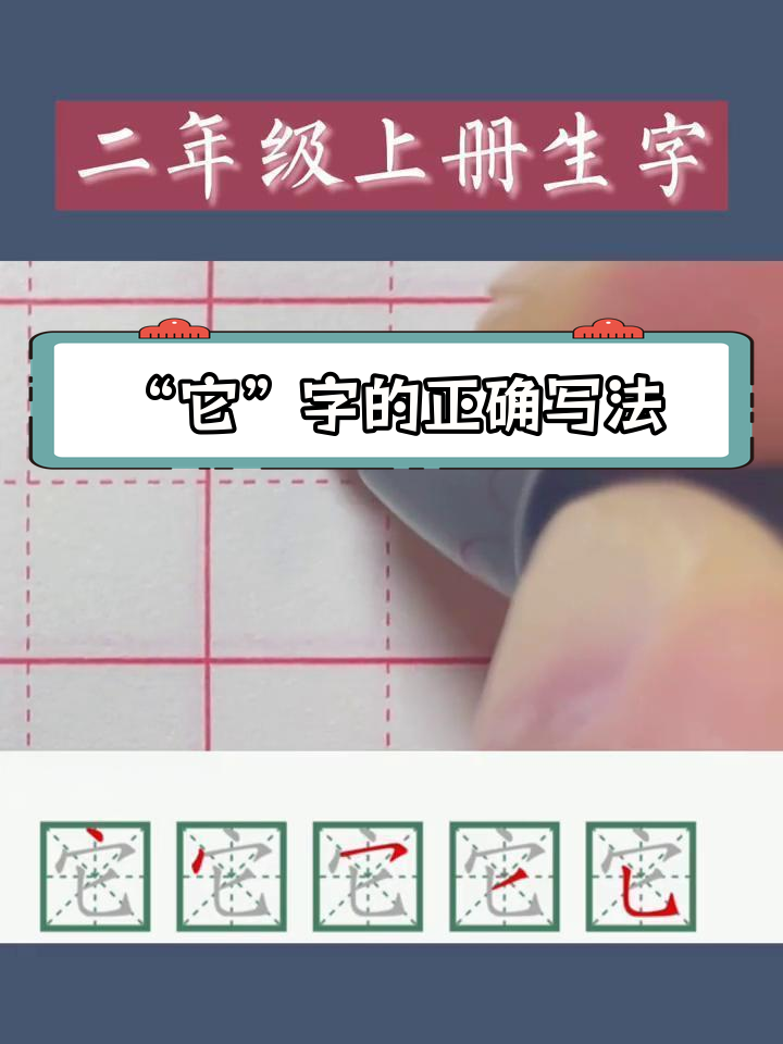 上下结构"它"字写法解析