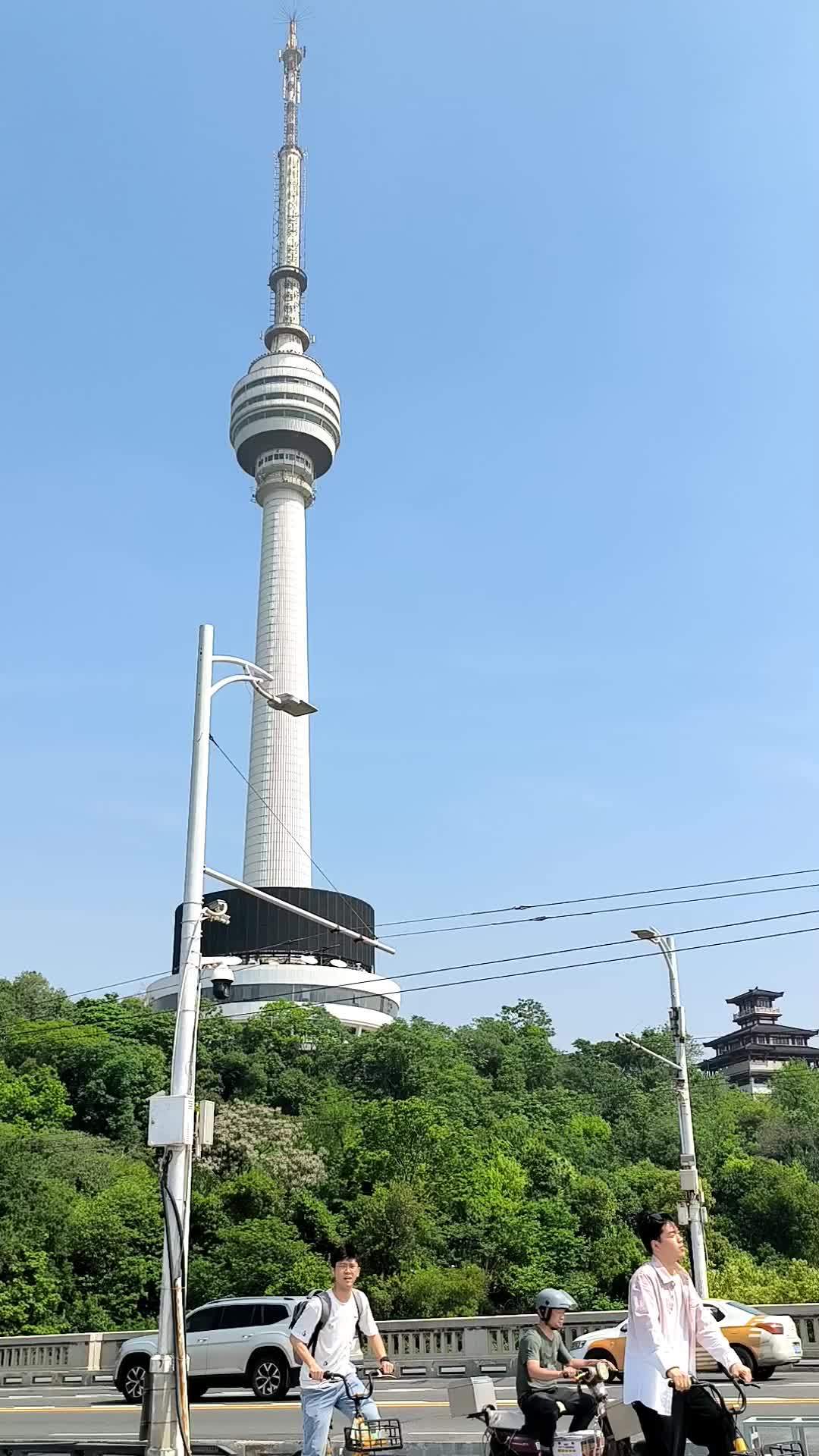 龟山电视塔景区图片