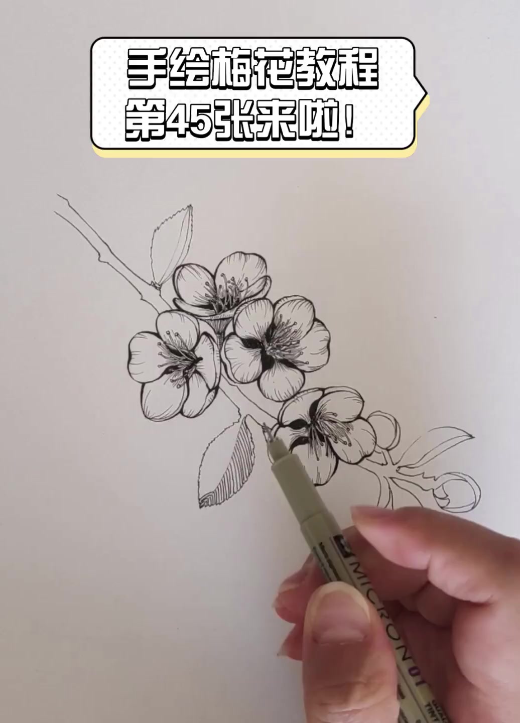 腊梅花简笔画步骤图片