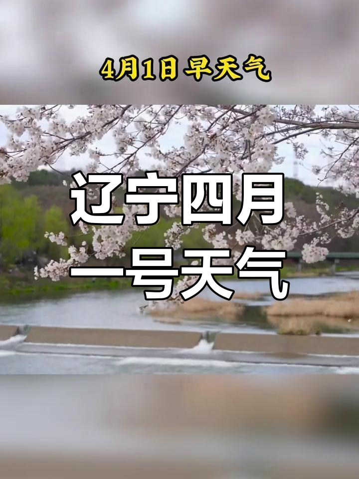 辽宁今天天气预报直播回放(辽宁今天天气预报直播回放视频)