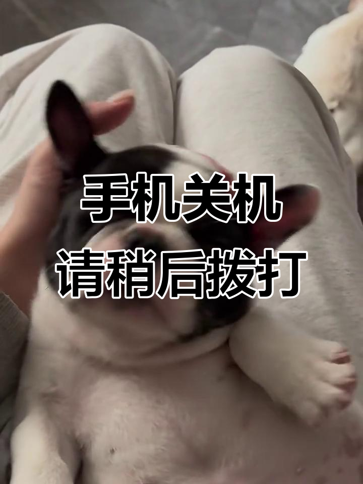 隐藏手机号码打电话显示什么信息提示关机
