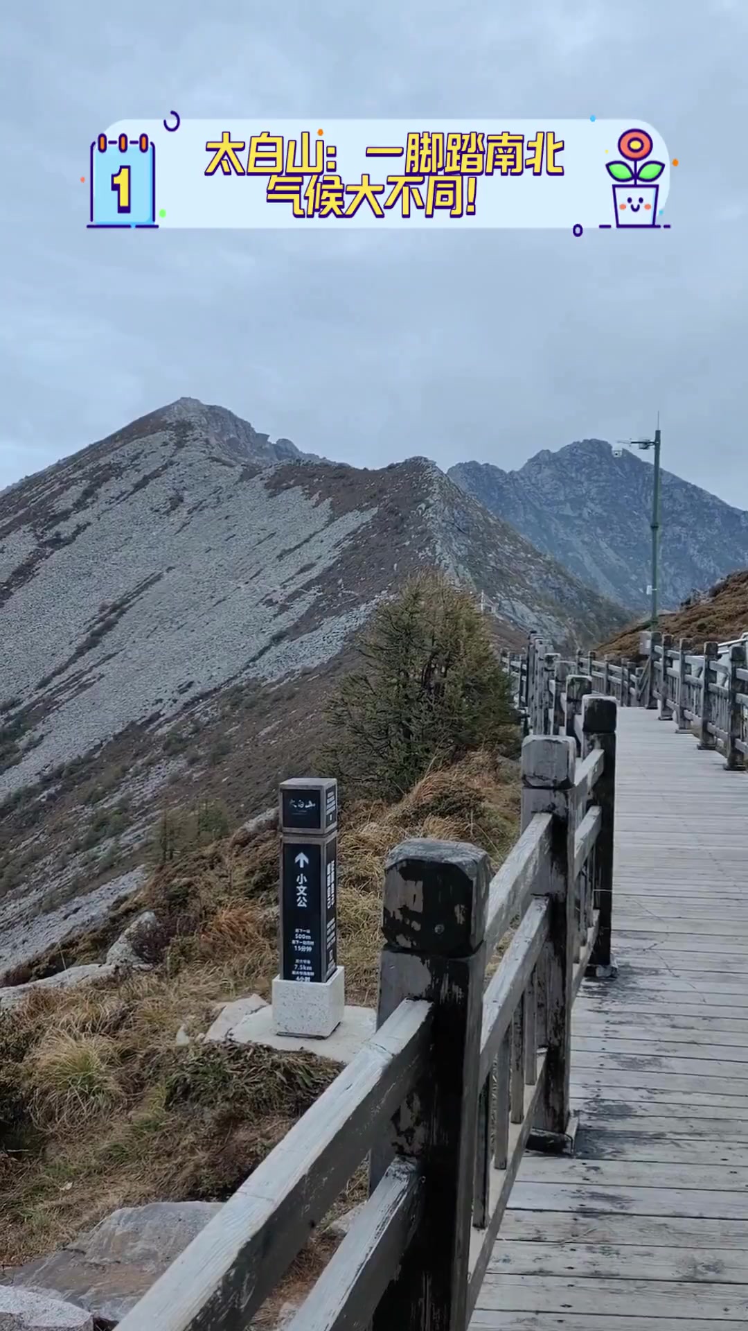 北仑太白山图片