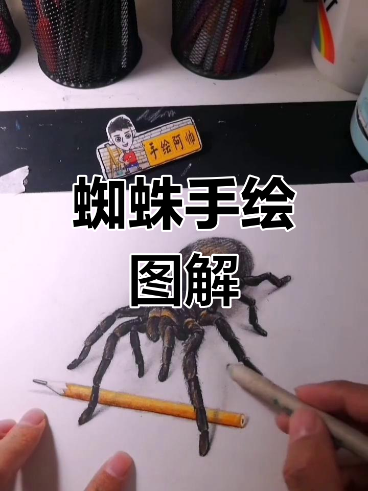 大蜘蛛手绘过程,细节满满,快来一起画!