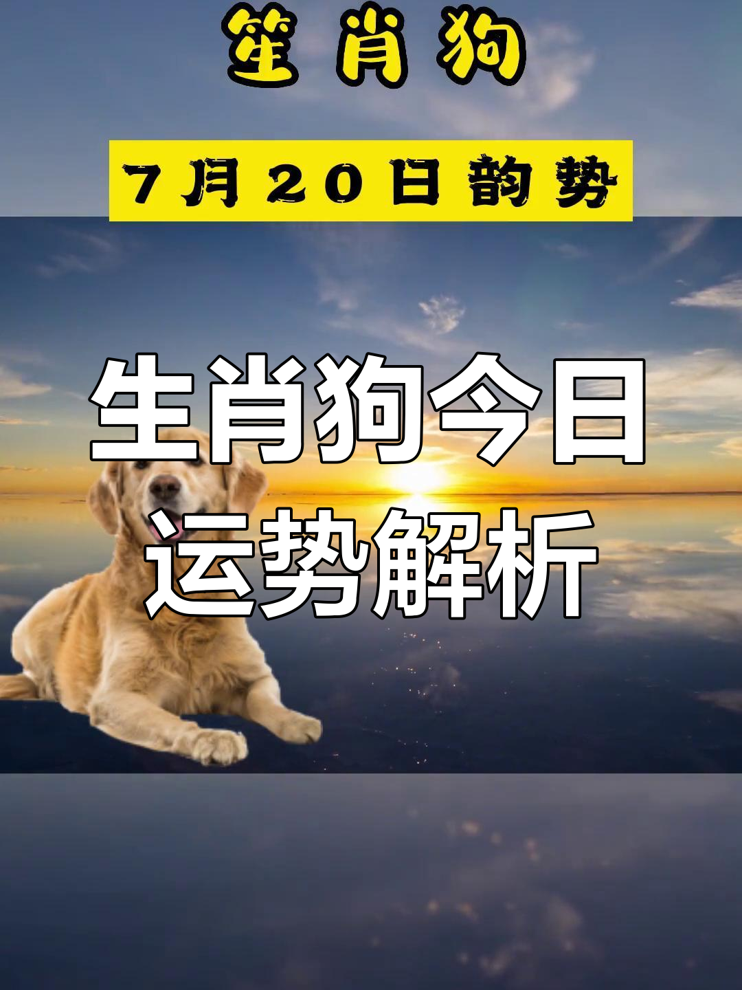 生肖属狗2013年运势(20121年属狗人运势)