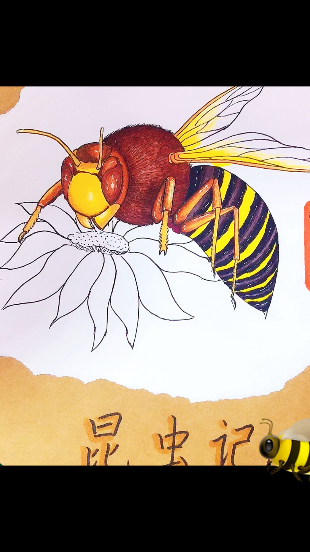 昆虫记蜜蜂名片图片