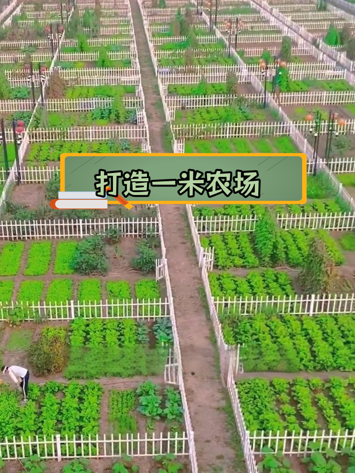 一亩菜产量(一亩地种植蔬菜产量)