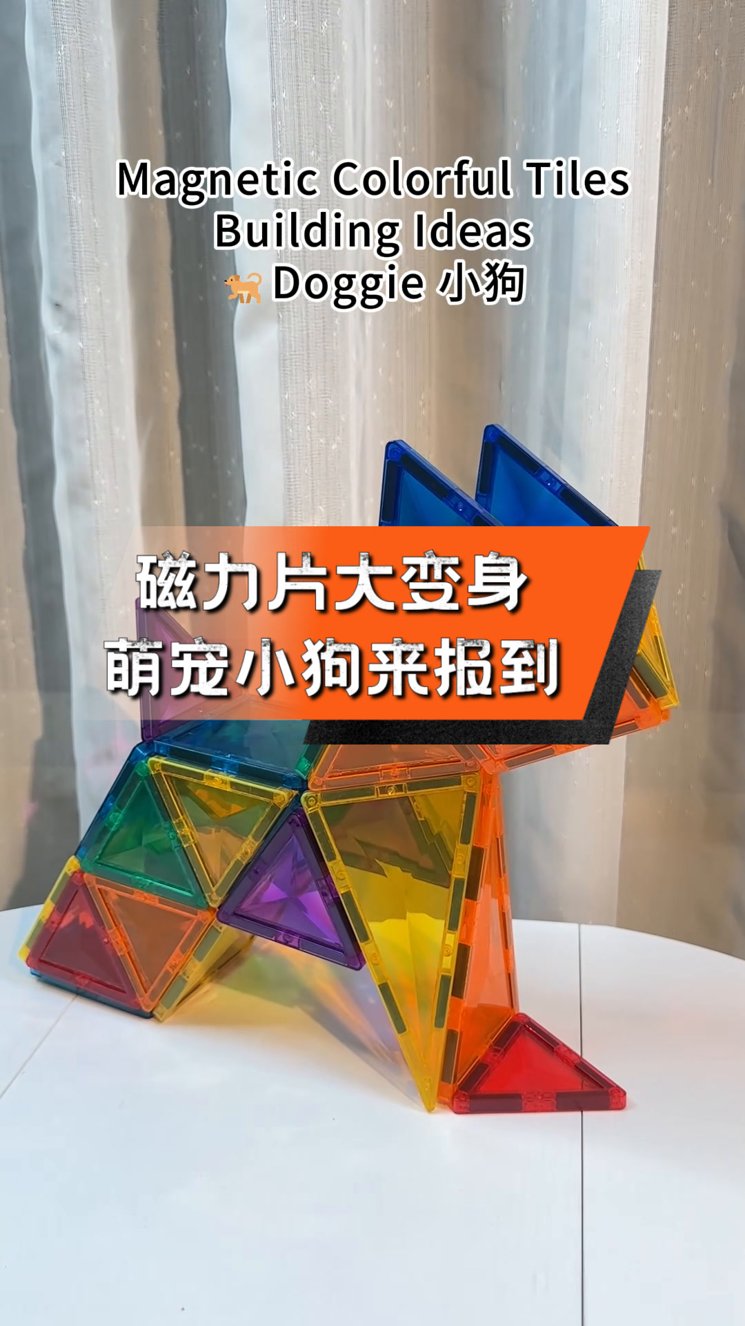 磁力狗搜刮引擎最新版_磁力狗搜刮引擎最新版本（磁力狗最好的搜索）