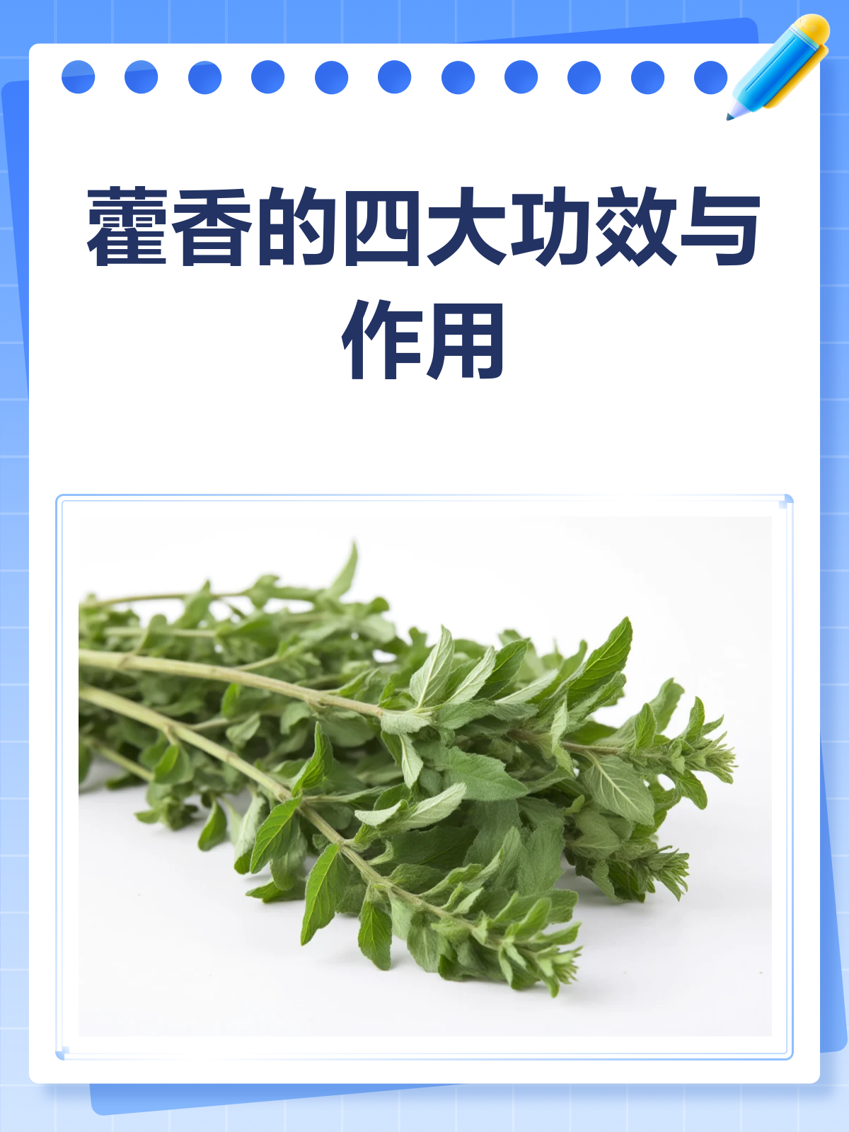 藿香不只是香料!这些功效你知道吗?