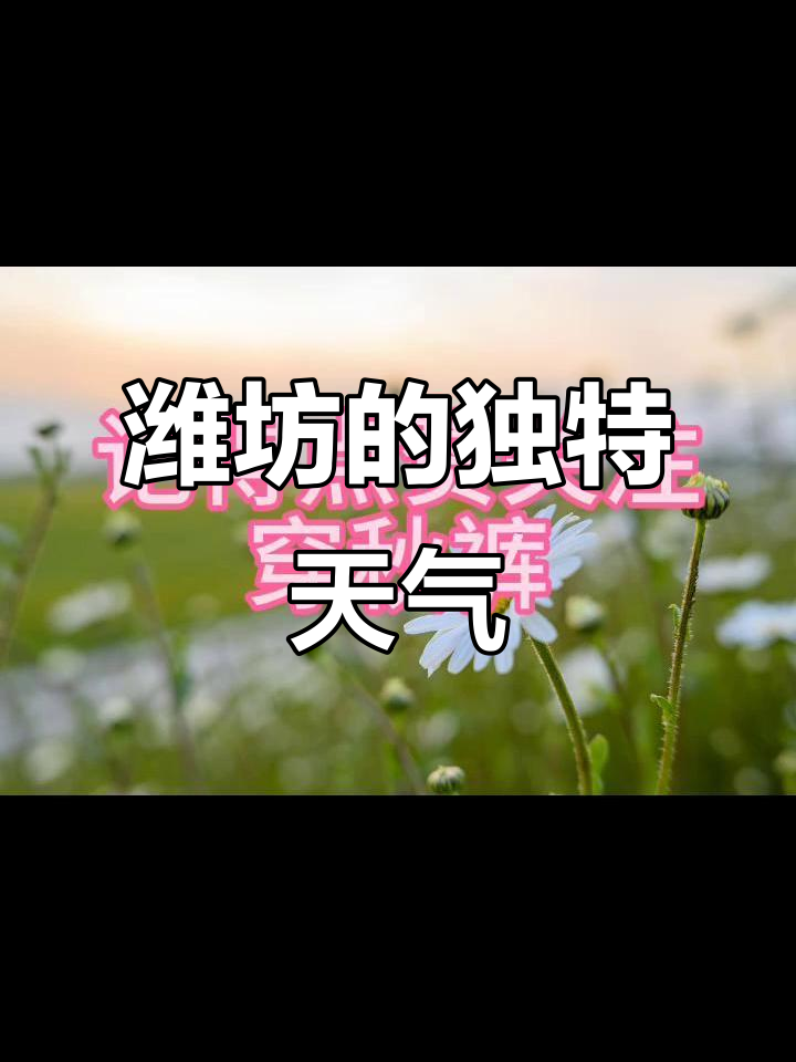 潍坊天气太奇葩,只有本地人才能理解!