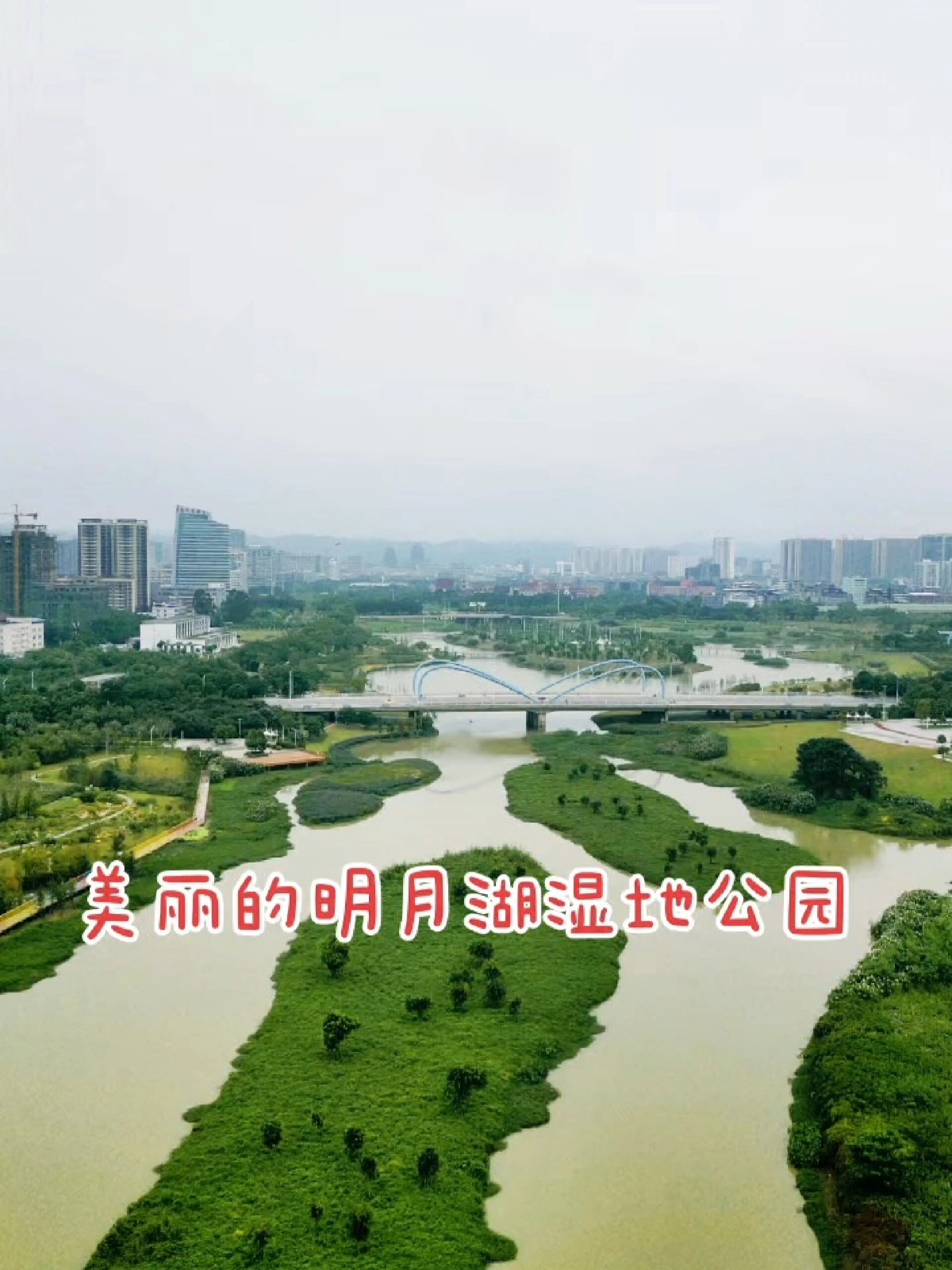 重庆明月湖湿地公园图片