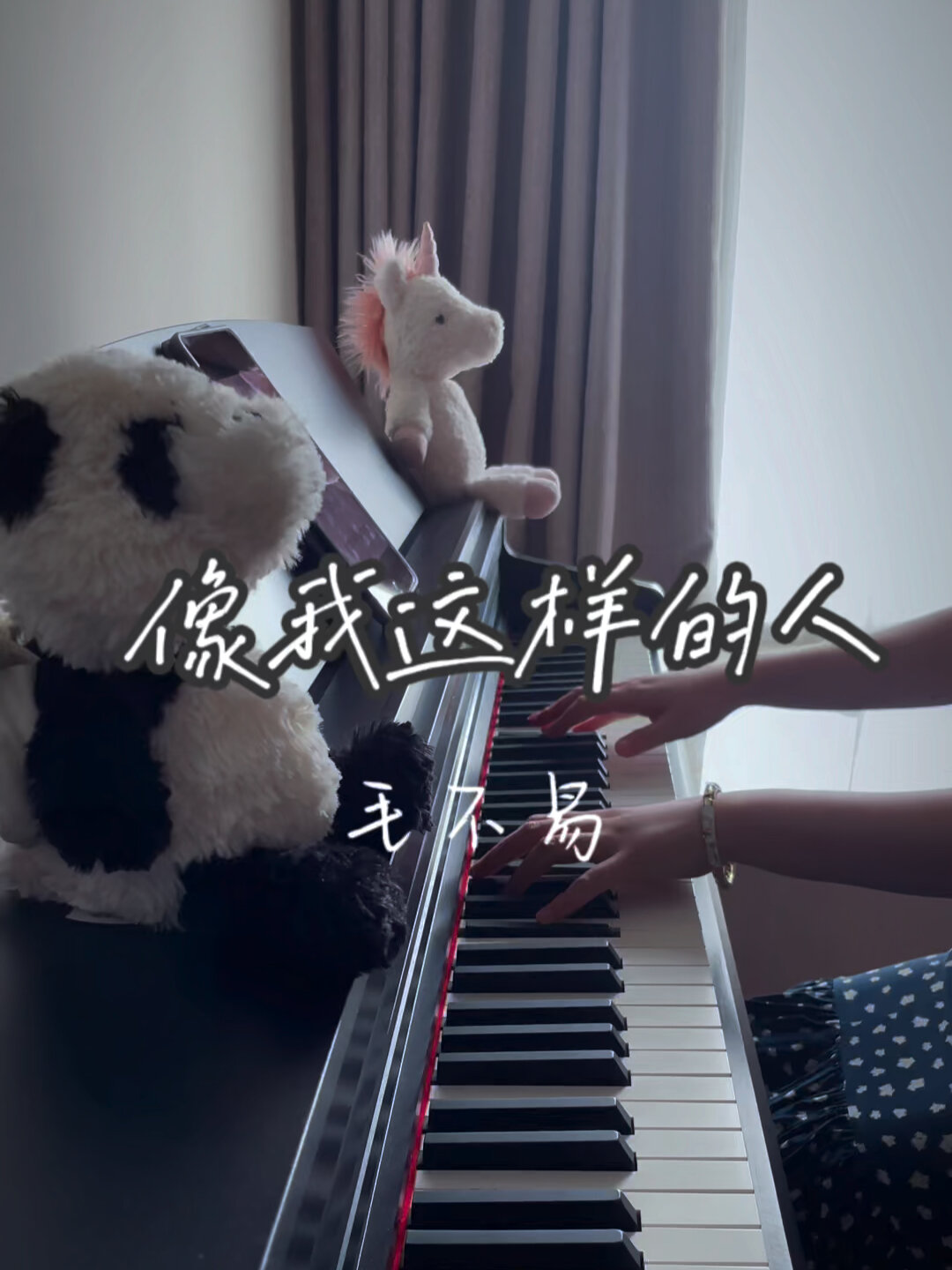 钢琴|毛不易《像我这样的人》