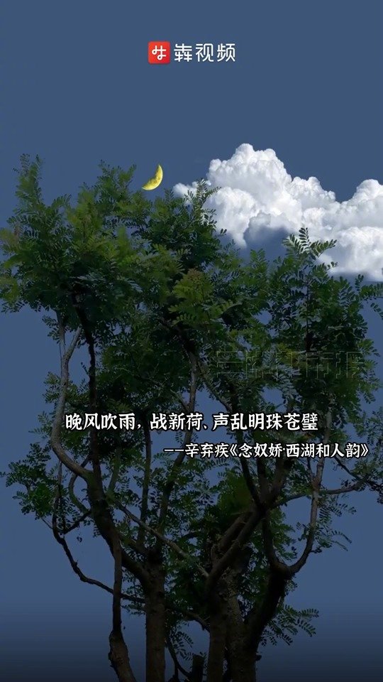 三湘君和你说晚安 晚风吹雨,战新荷,声乱明珠苍璧.