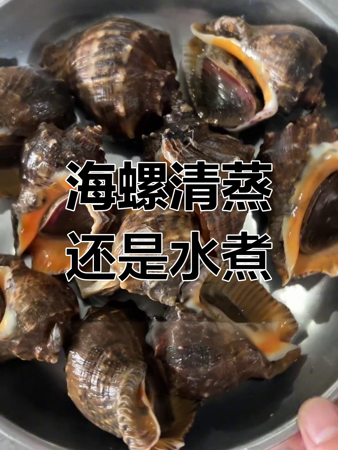 清蒸海螺图片