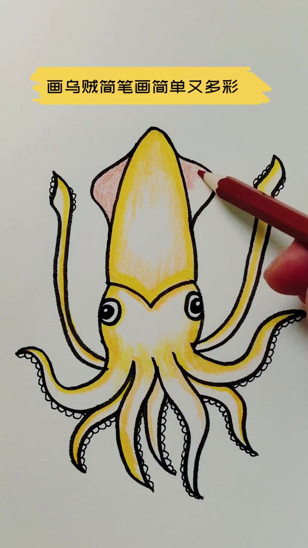画乌贼简笔画简单又多彩