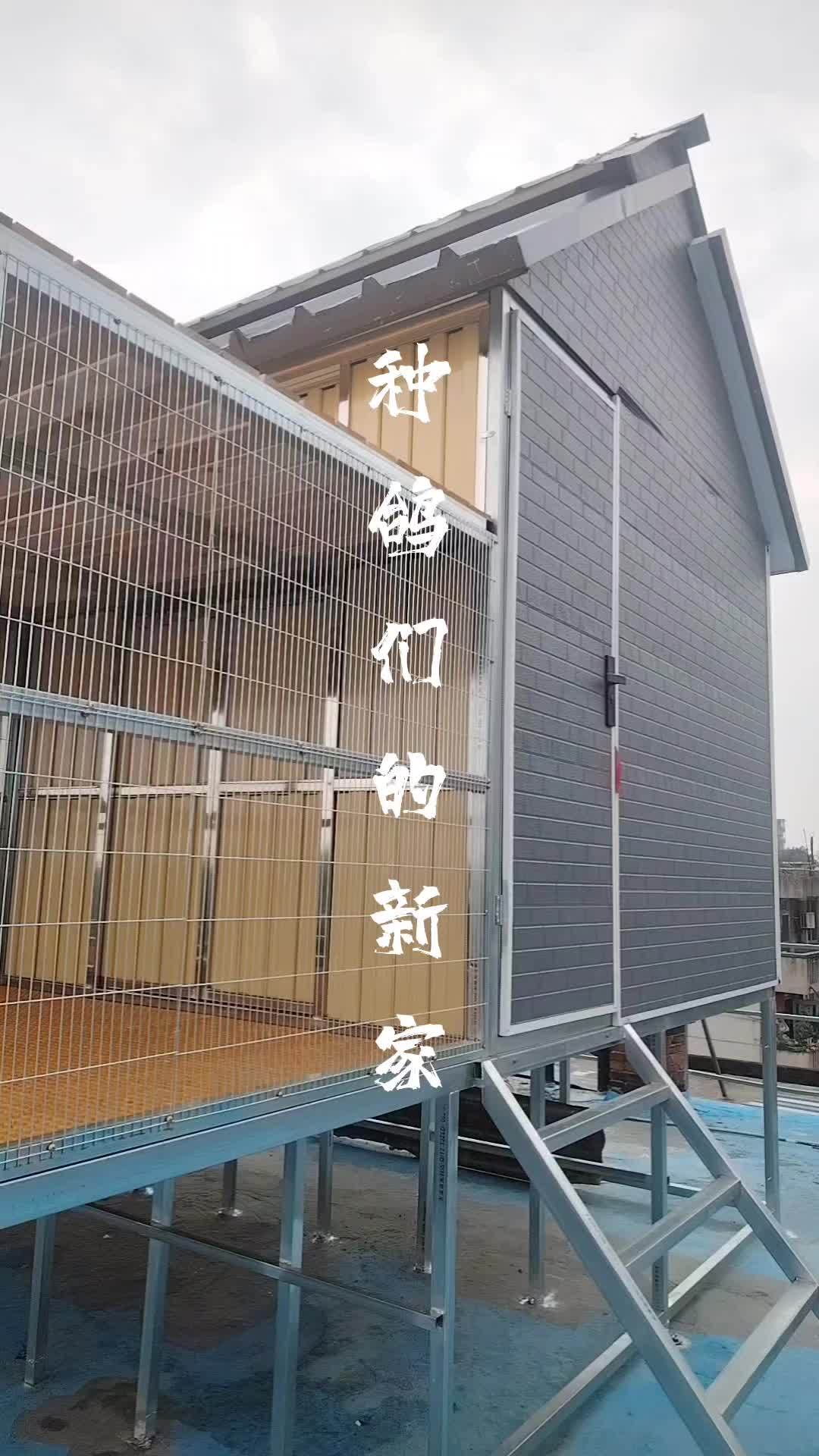 笼搭建视频鸽子房子设计图家养贵州翠枫园寄养棚楼顶鸽舍建造图片欣赏