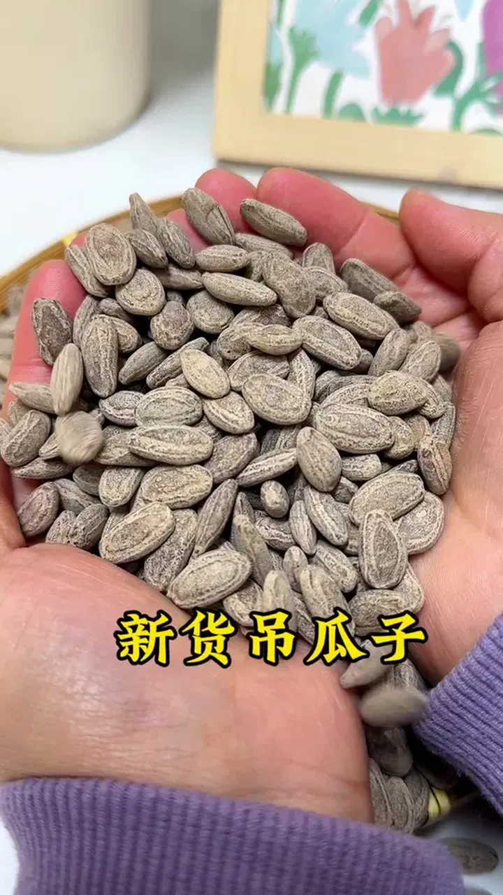 颗粒大又饱满的吊瓜子