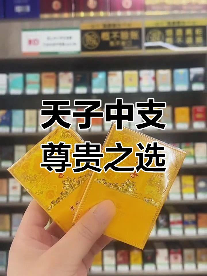 天子中支:品质与尊贵的完美结合