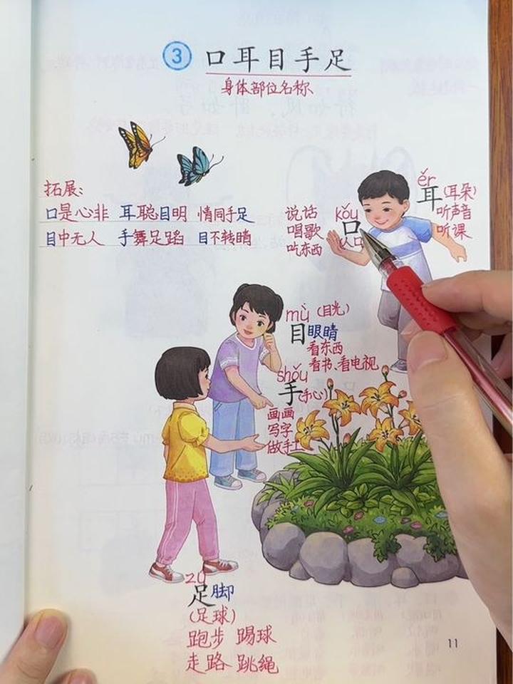 一年级语文上册第3课《口耳目手足》手写课堂笔记