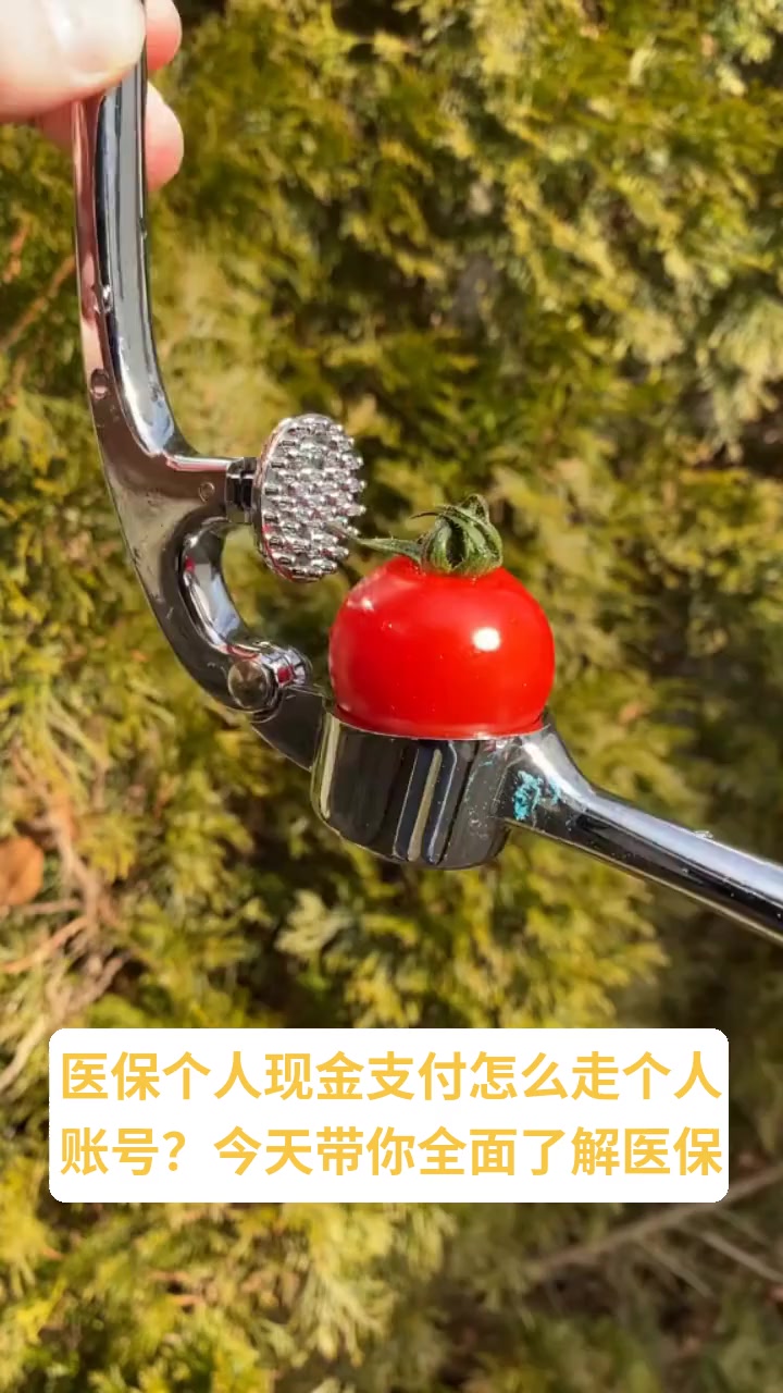 北京医保换现金秒到账的最新政策(2025年北京我的医保查询个人账户余额分享)