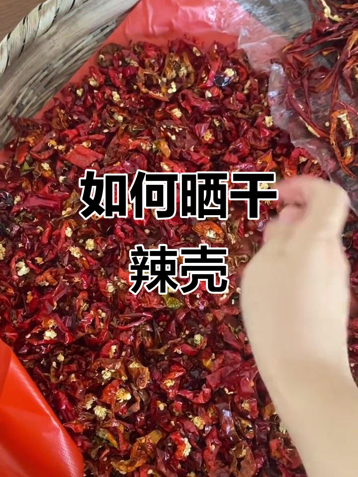 晒干辣椒壳的技巧,如何判断是否晒好