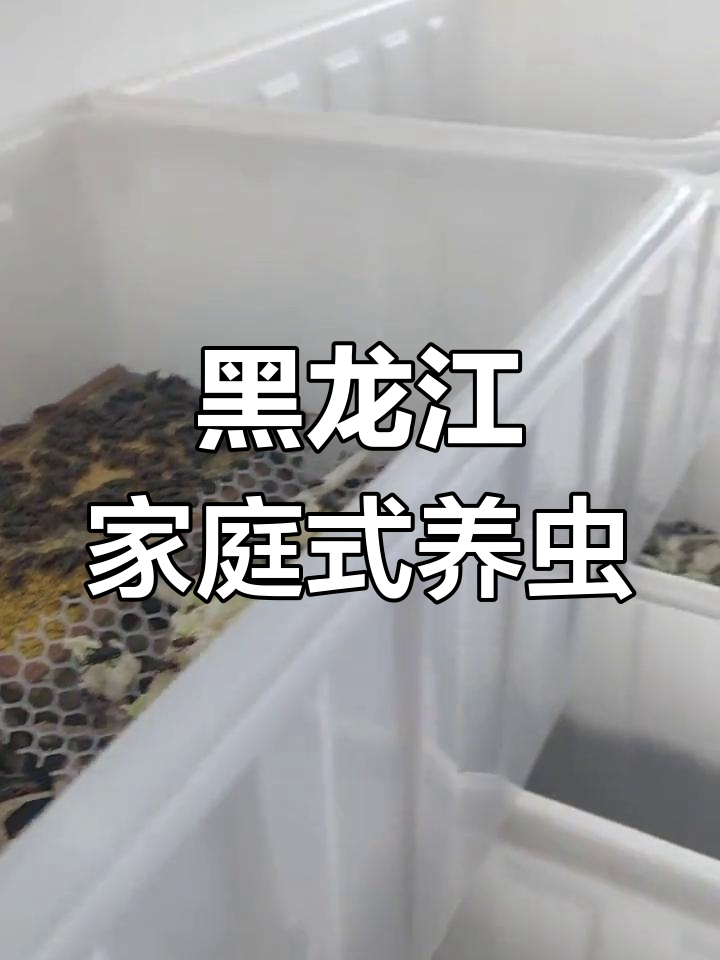 如何养殖蟋蟀的简单介绍 怎样
养殖蟋蟀的简单

先容
（怎么养殖蟋蟀） 养殖