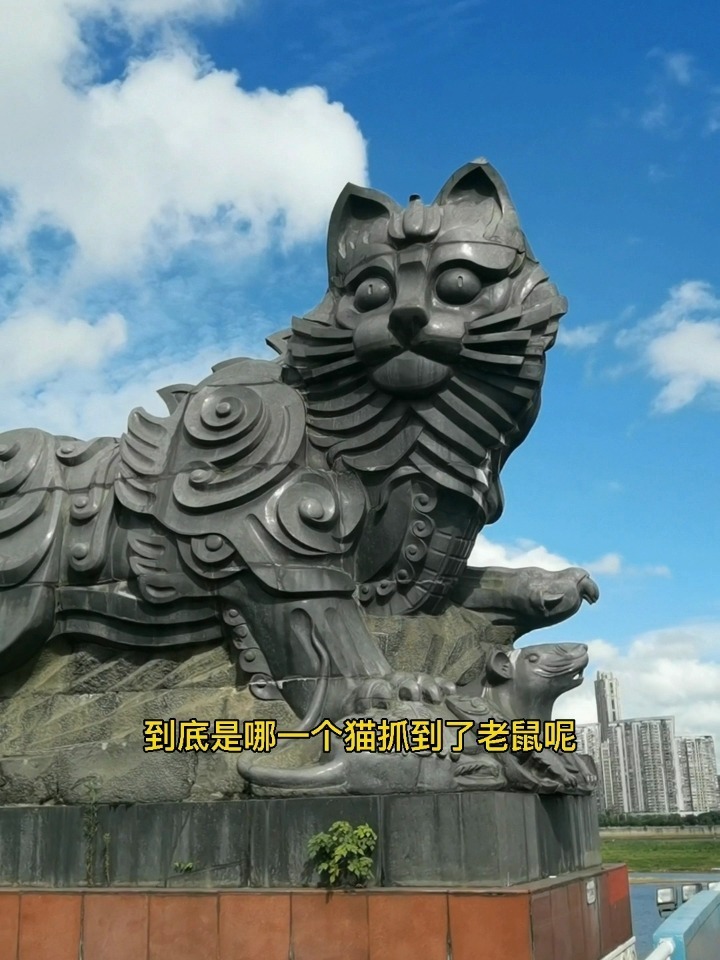 江西八一大桥黑猫图片图片