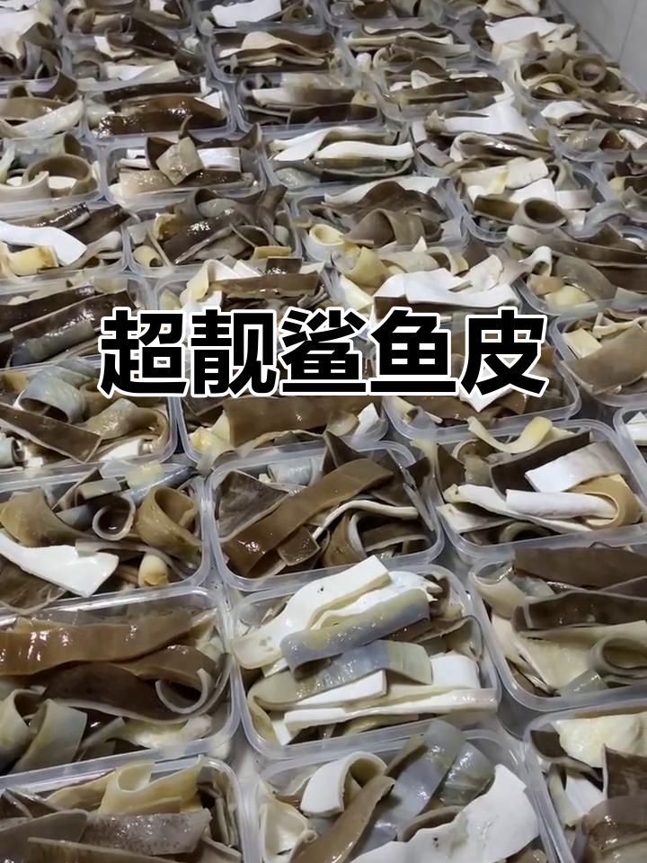 最新鲨鱼皮,超干净无杂质
