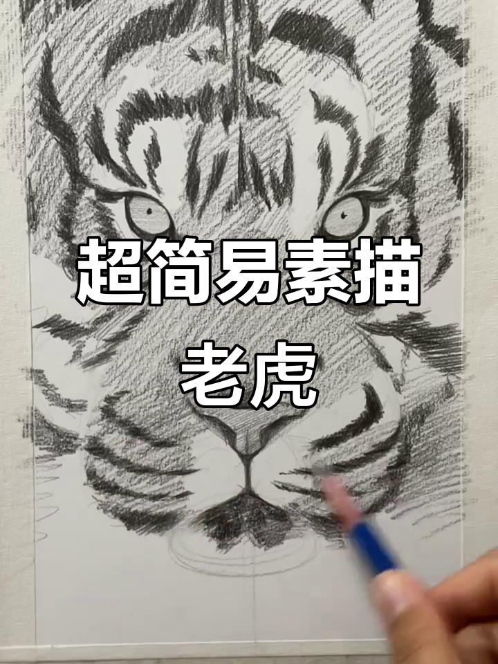 素描老虎面部,简单又真实!教你一步步画出栩栩如生的表情