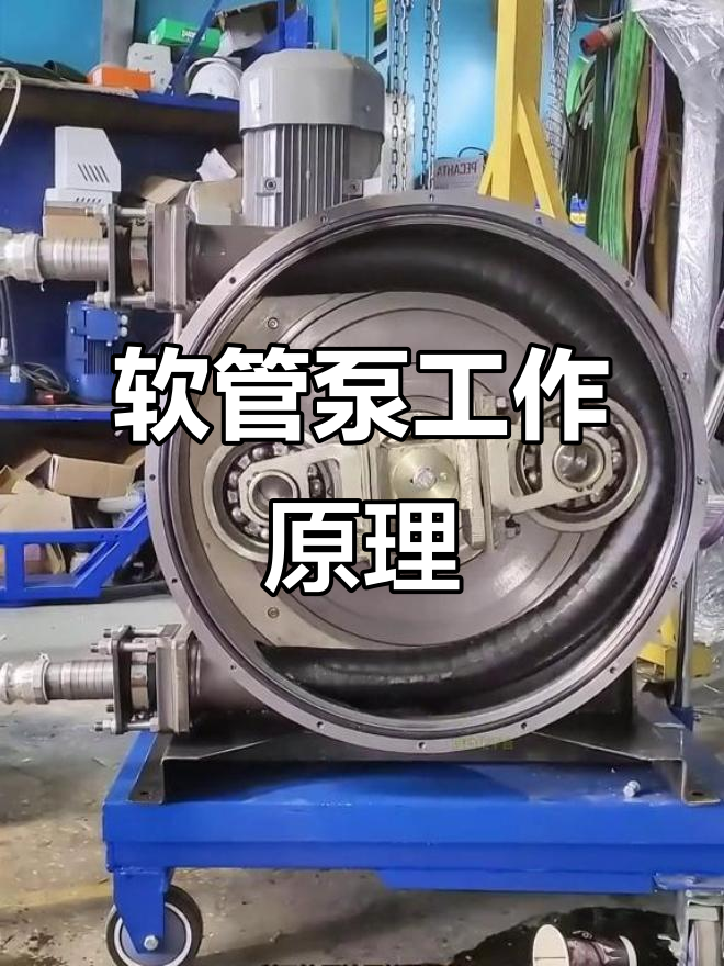 软管泵内部结构揭秘:如何通过压缩软管输送介质