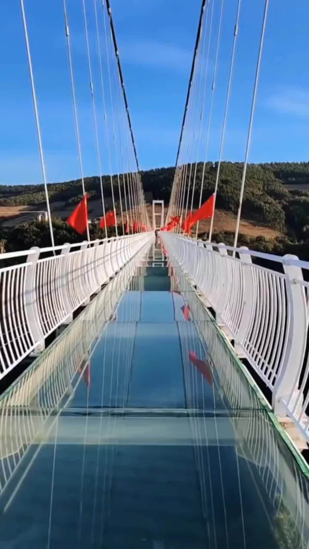 本溪大峡谷 本溪大峡谷景区 玻璃栈道 网红玻璃桥 去就去本溪大峡谷