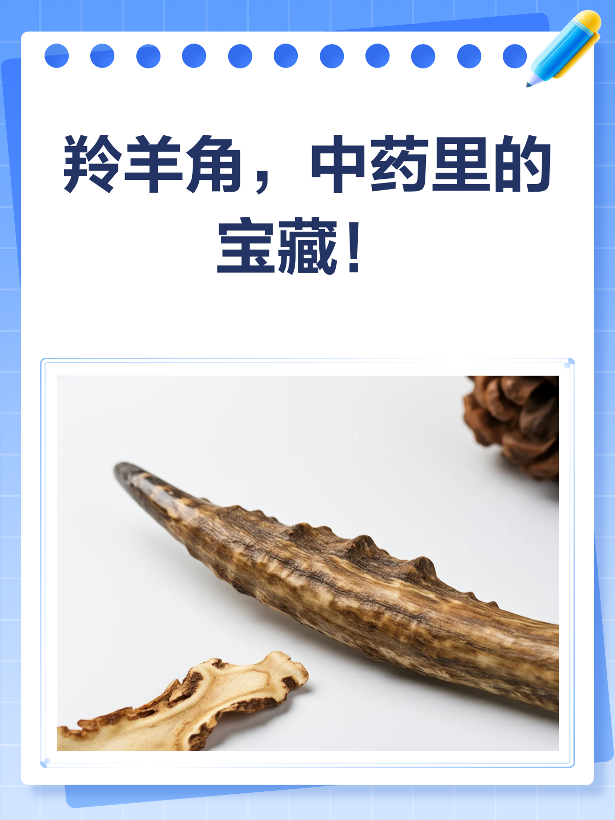 羚羊角,你知道它的神奇功效吗?