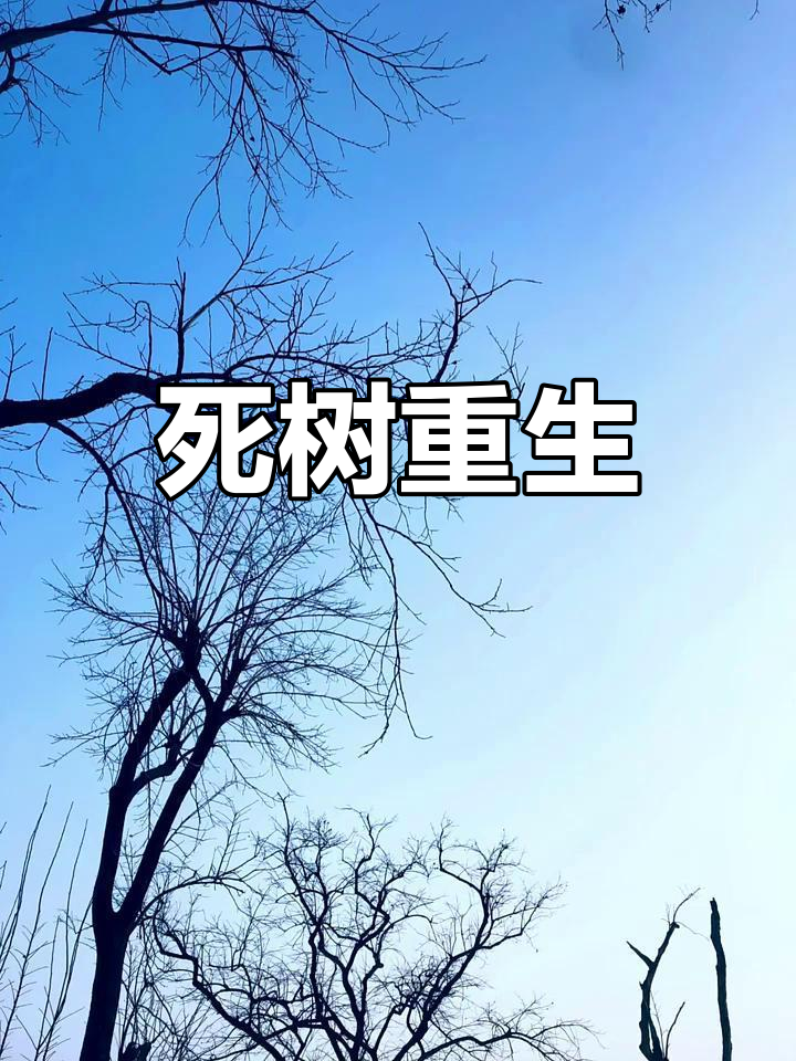 重生之枯木好看吗