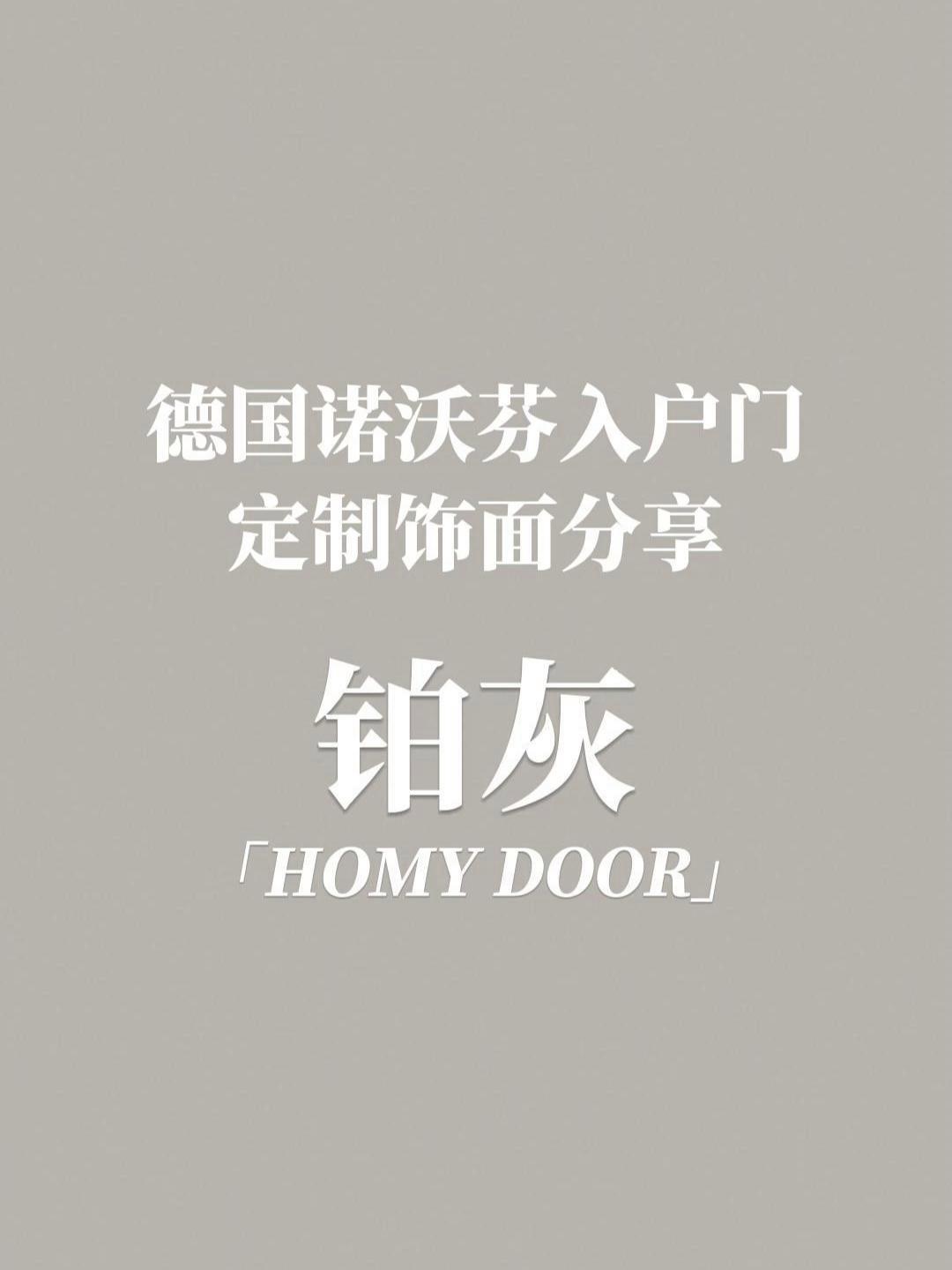 德国诺沃芬,入户门纯色饰面展示,铂灰 诺沃芬 安全门 极简门 防盗门