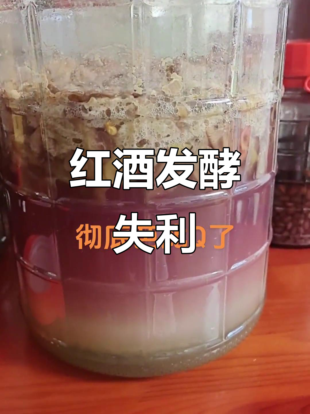 自制红酒失败,第七天宣告结束,真是遗憾