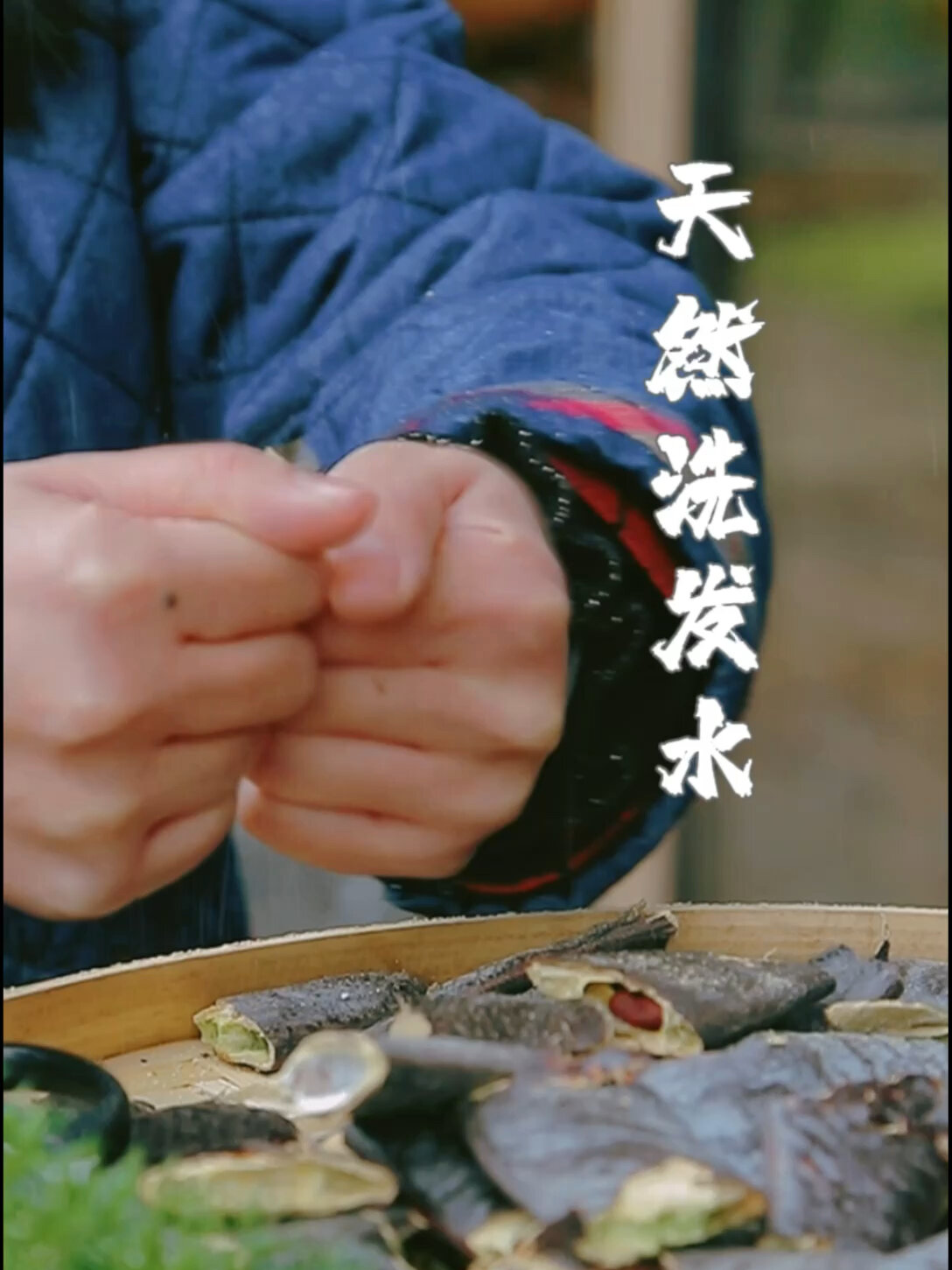 皂角洗头
