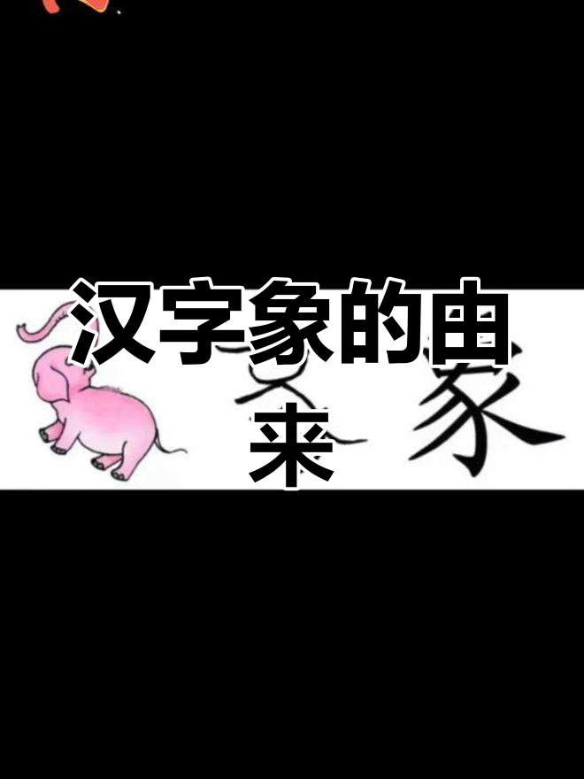 "象"字背后的故事:从野猪到大象的演变