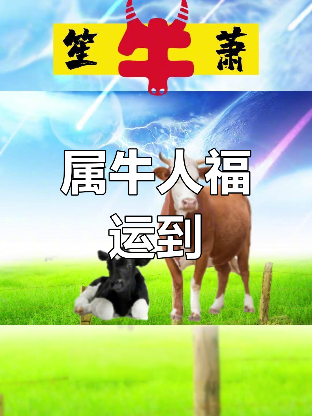 生肖牛在今年的运势(十二生肖属牛今年运势)