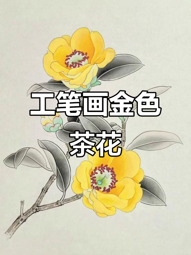 精致工笔金黄色茶花,细节之美尽显
