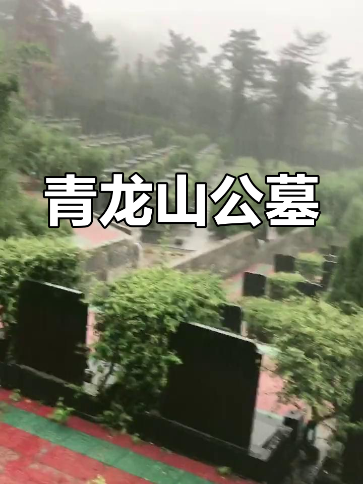 南京青龙山公墓概况
