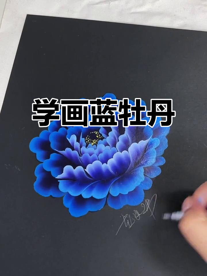 排笔蓝色牡丹画法,简单又好看!